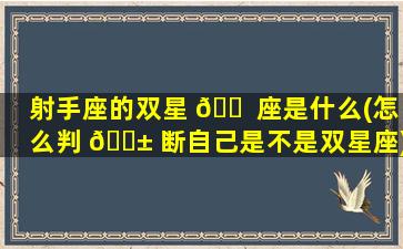 射手座的双星 🐠 座是什么(怎么判 🐱 断自己是不是双星座)